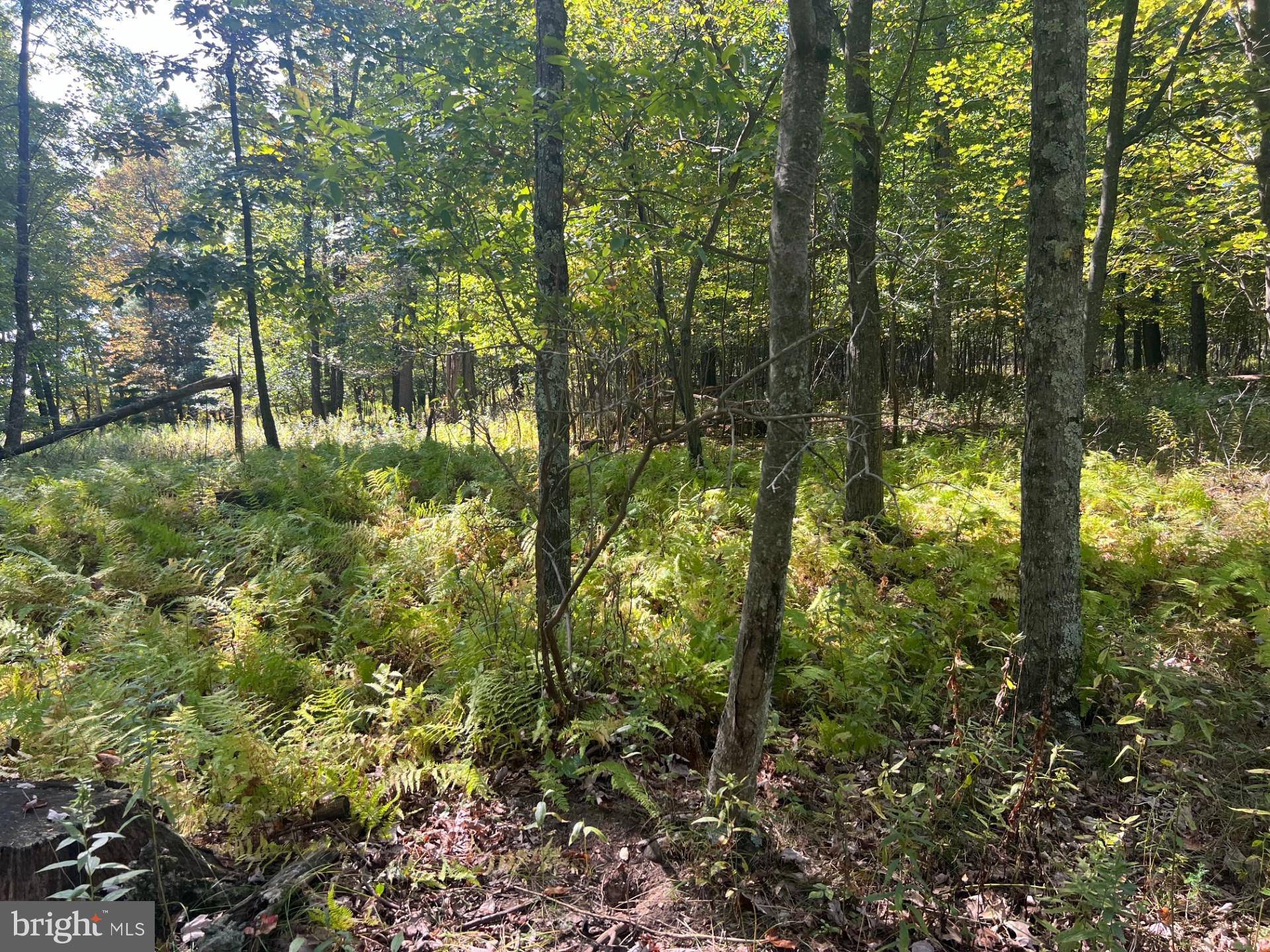 Stroudsburg, PA 18360,0 WERKHEISER LN