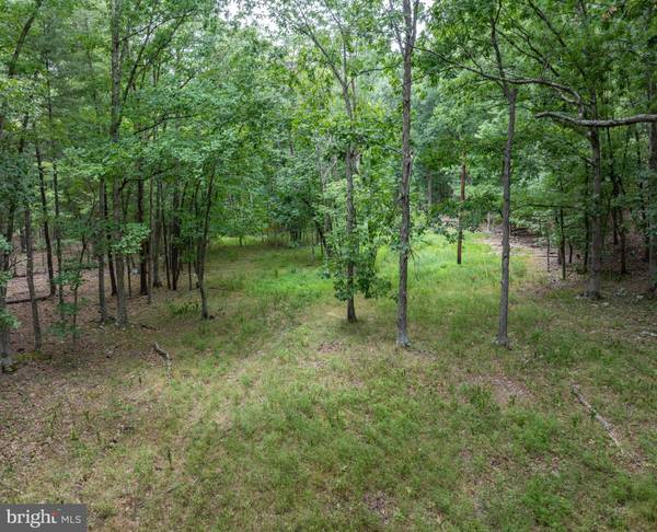 6.6 ACRES BUFFALO HOLLOW RD, Romney, WV 26757