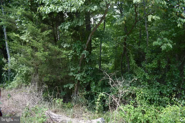 Warfordsburg, PA 17267,MCKEES GAP - LOT #8