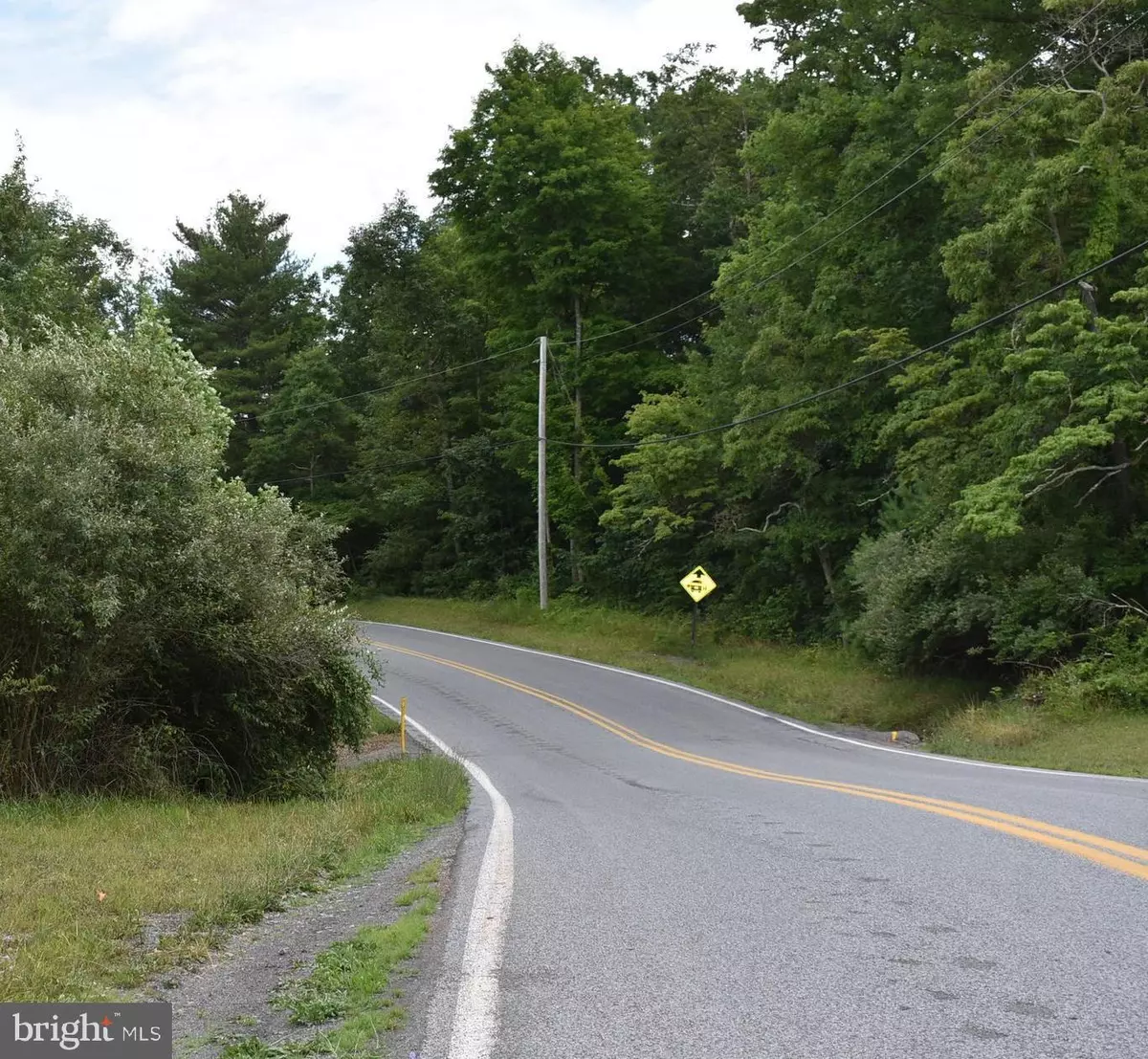 Warfordsburg, PA 17267,MCKEES GAP - LOT #8 & #9