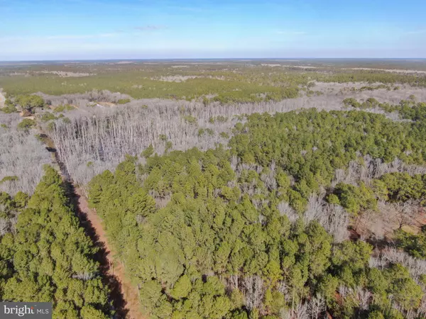 Snow Hill, MD 21863,LOT 1 SAND ROAD