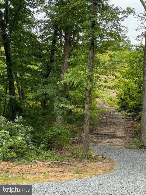 DOCTOR'S RD. #LOT 3, Louisa, VA 23093