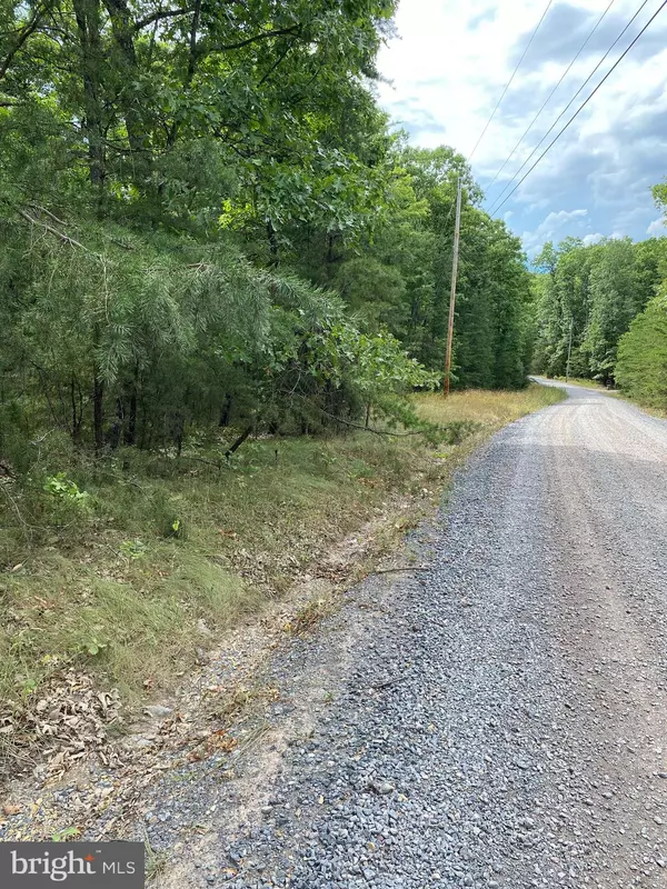 Yellow Spring, WV 26865,LOT 38 JANES WAY