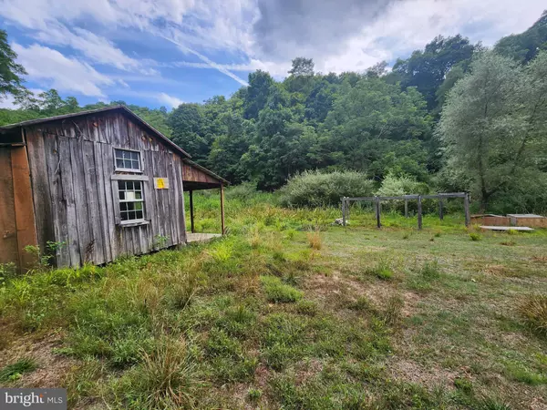 Purgitsville, WV 26852,LOTS 5 & 6 PROCTOR RD