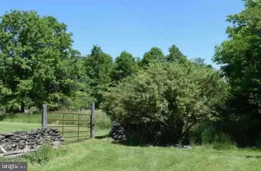 Bluemont, VA 20135,AUSTIN GROVE RD