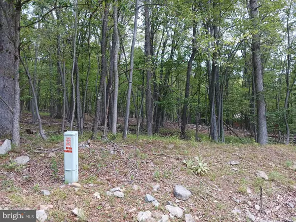 Paw Paw, WV 25434,LOT 11 PENDRAGON CT