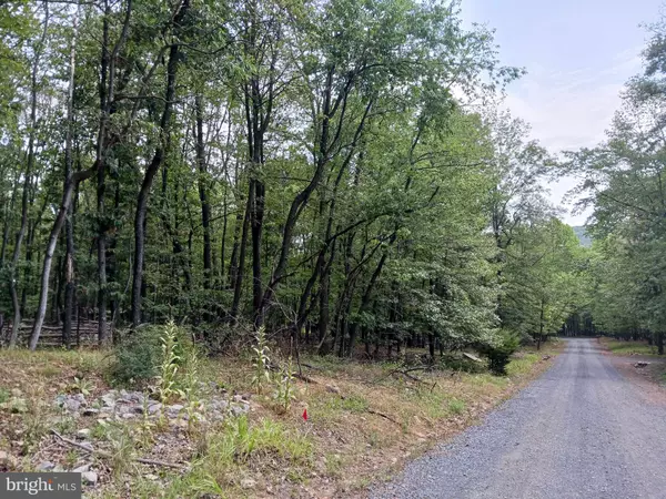 Paw Paw, WV 25434,LOT 11 PENDRAGON CT