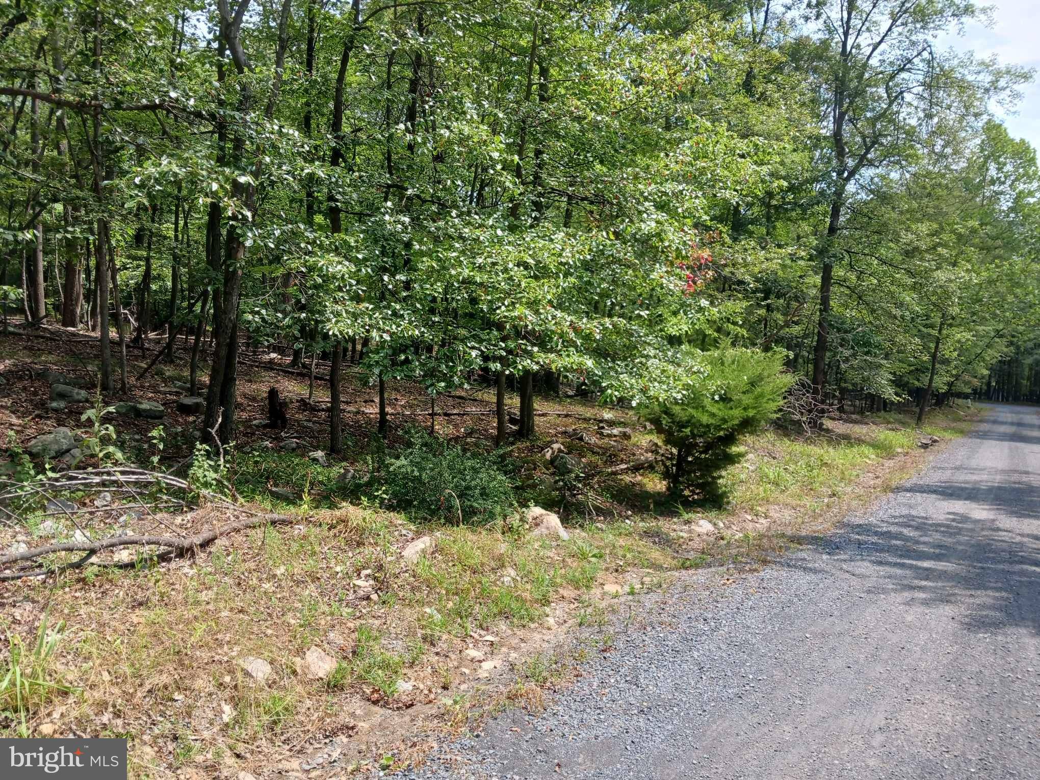 Paw Paw, WV 25434,LOT 11 PENDRAGON CT
