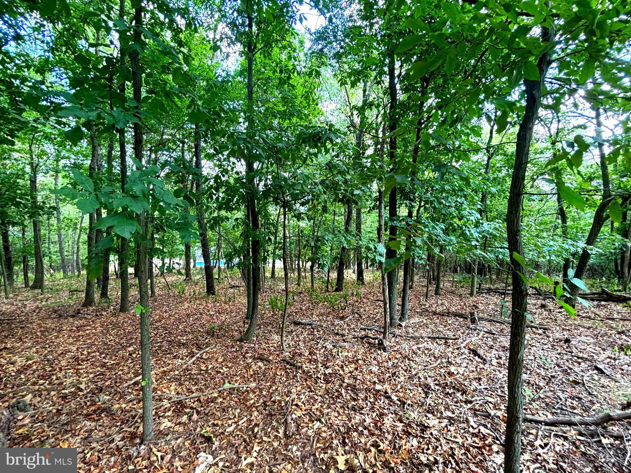 Keyser, WV 26726,487 PINEPOINTE DR