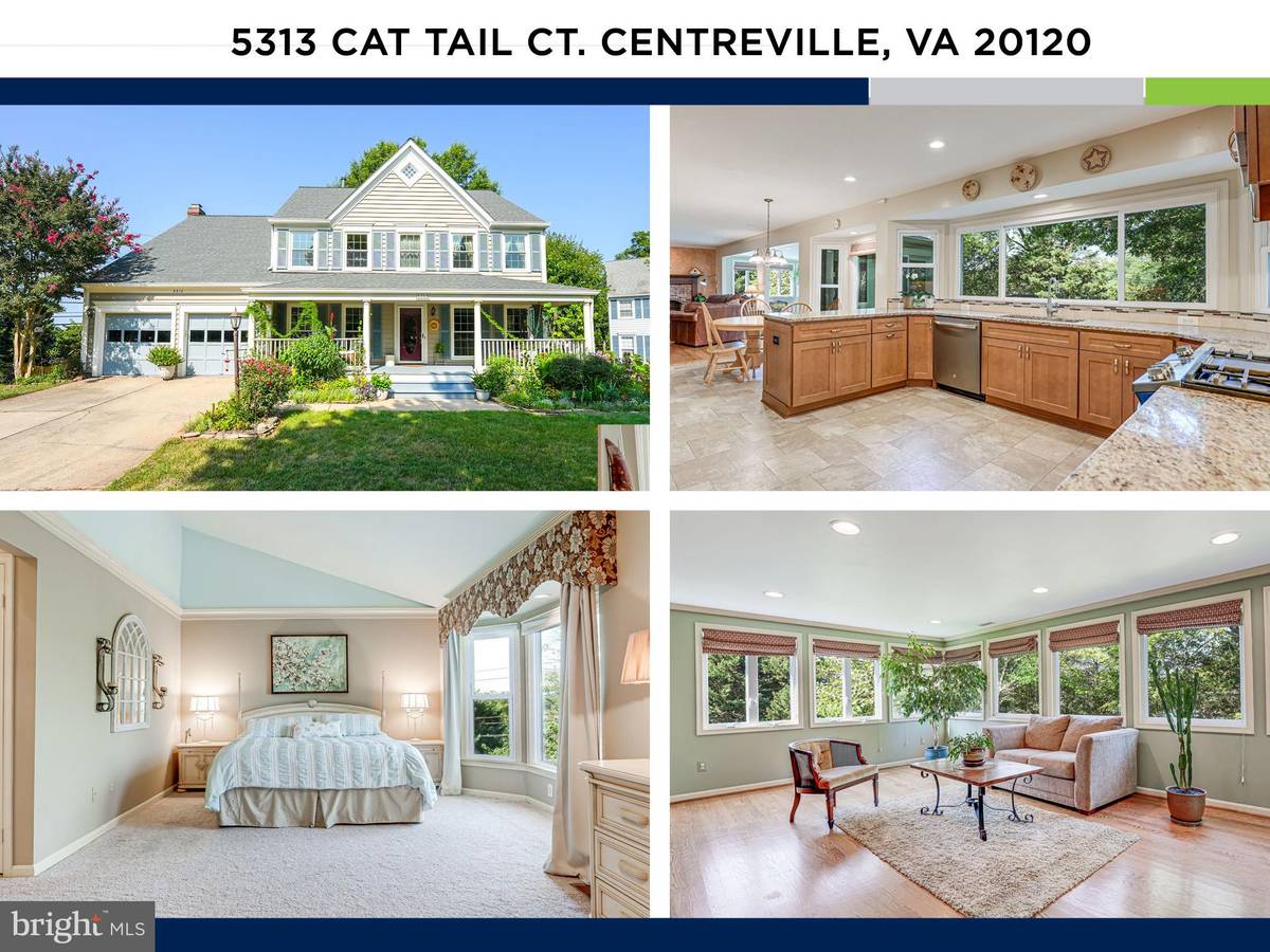 Centreville, VA 20120,5313 CAT TAIL CT