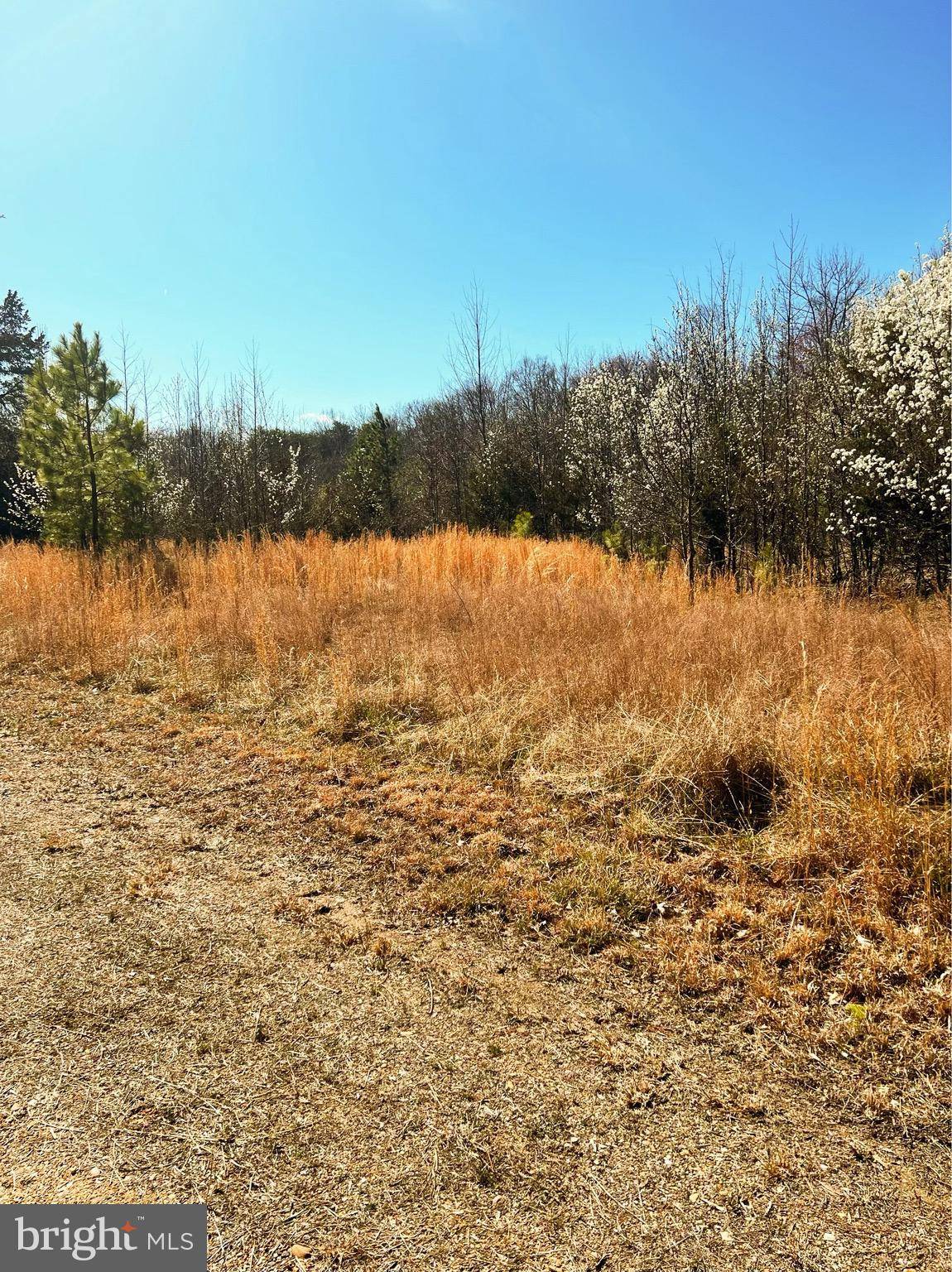 Waldorf, MD 20603,2675 LAUREL BRANCH DR