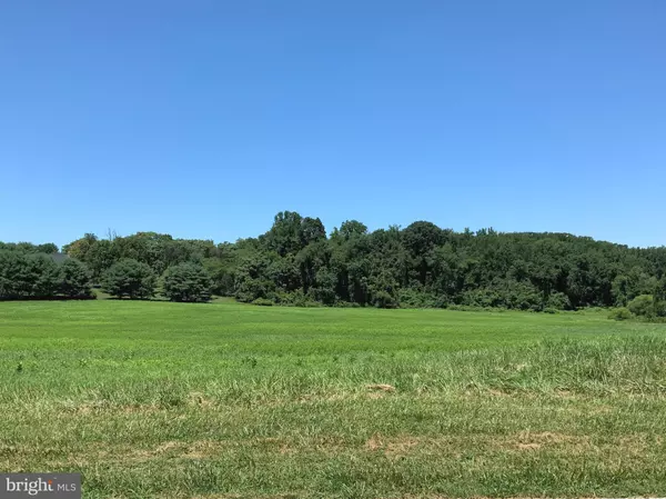 Kingsville, MD 21087,LOT 42 GONTRUM RD