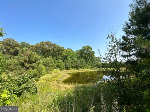 Georgetown, DE 19947,FORSYTHIA DRIVE