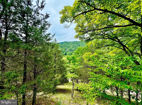 TBD DUMPLING RUN RD, Moorefield, WV 26836