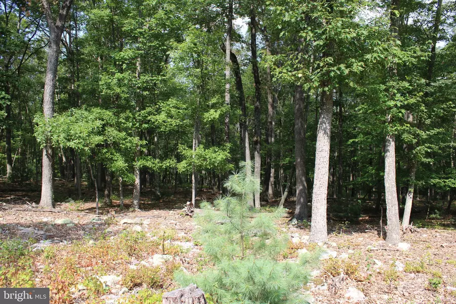 LOT 12 EVERGREEN FARM DR, Wardensville, WV 26851