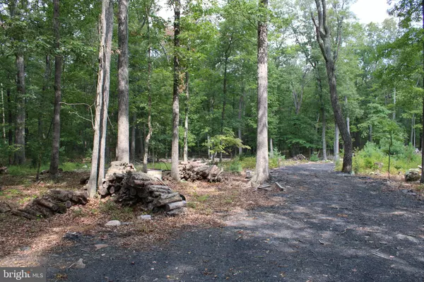 Wardensville, WV 26851,LOT 12 EVERGREEN FARM DR