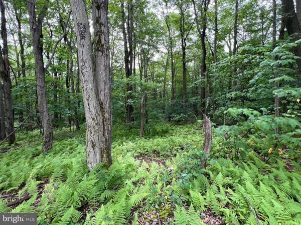 Claysburg, PA 16625,LOT 138 BELLOWS WAY ROAD