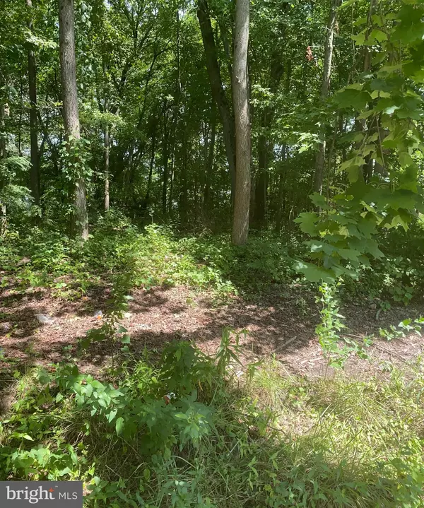 53 FOUNTAIN BLVD, Burlington, NJ 08016