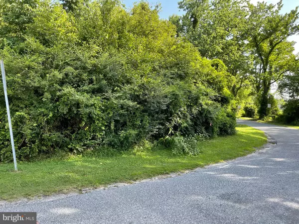 Bishopville, MD 21813,177-LOT 177 ST MARTINS NECK RD