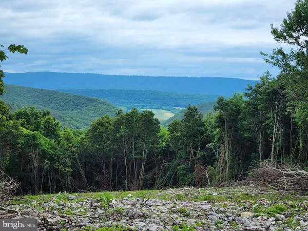 Springfield, WV 26763,LOT 91 BLUFFS BLUEBIRD TRL