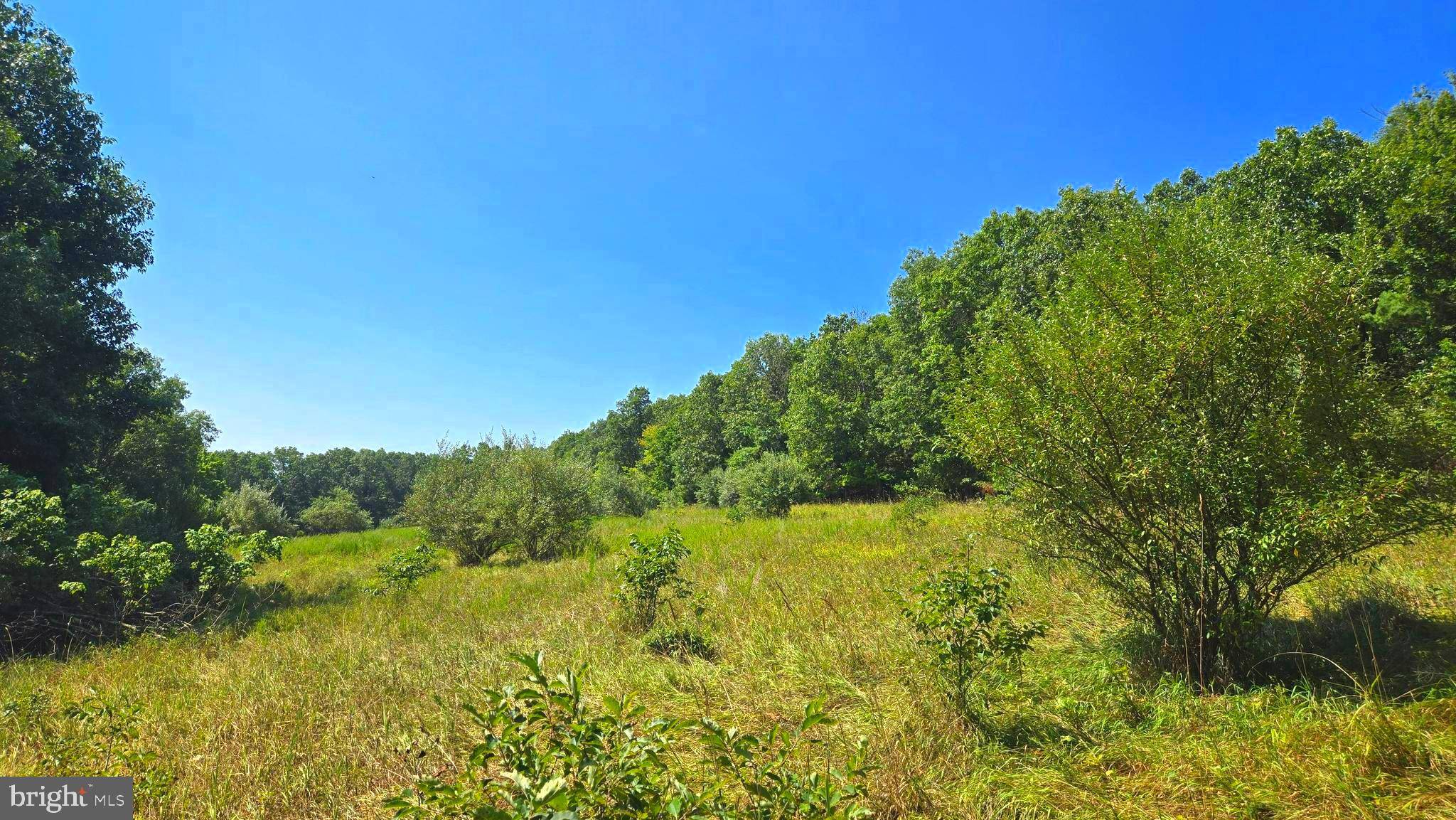 LOT 10 DAWN HEIGHTS TRL, Winchester, VA 22603