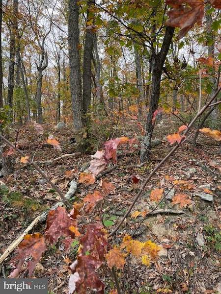 LOT 171 FIRE TOWER TRL, Winchester, VA 22602