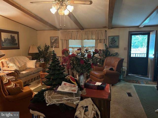 Greenwood, DE 19950,14003 STAYTONVILLE RD