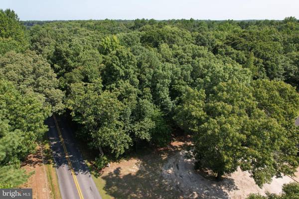 LOT 5 WOOD BRANCH RD, Georgetown, DE 19947