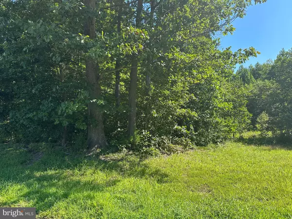 Greensboro, MD 21639,NICHOLS FARM LOT #3