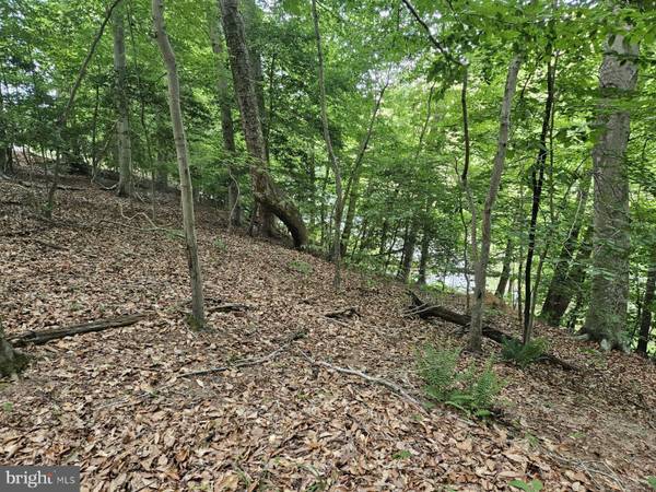 Montross, VA 22520,LOT 50 LIGHTFOOT DRIVE