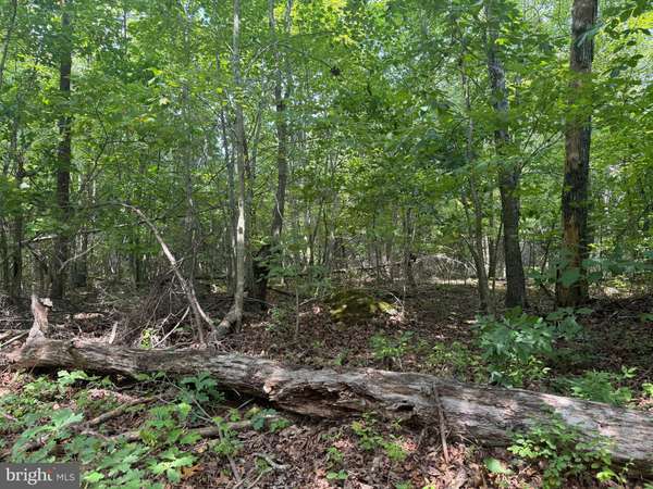 Mineral, VA 23117,LOT 3 BUCKNER RD