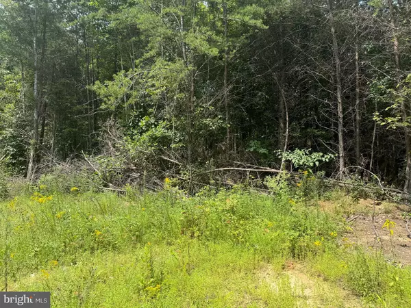 Mineral, VA 23117,LOT 3 BUCKNER RD