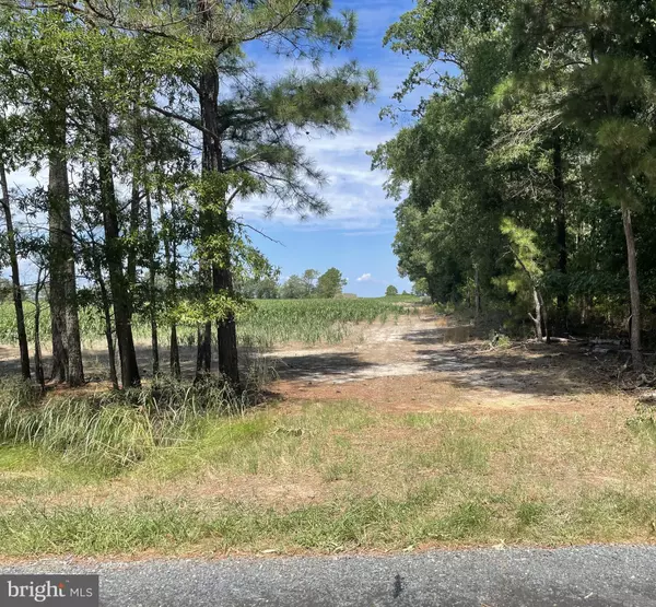 Taylors Island, MD 21669,HOOPER NECK