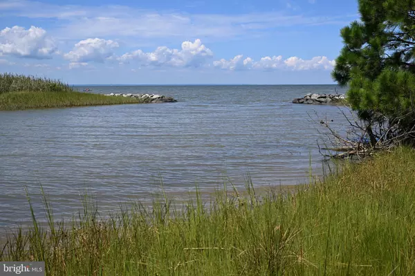 Taylors Island, MD 21669,HOOPER NECK