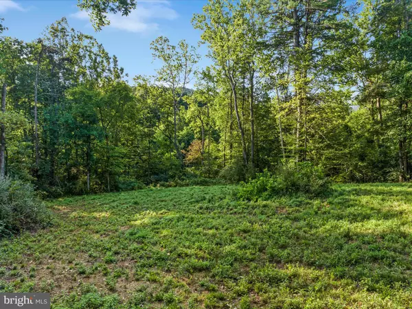 Bentonville, VA 22610,0 GOONEY MANOR LOOP