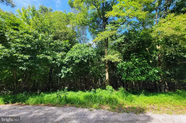 Tamaqua, PA 18252,0 WHITETAIL CROSSINGS RD