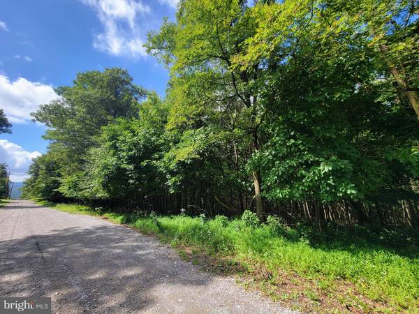 Tamaqua, PA 18252,0 WHITETAIL CROSSINGS RD