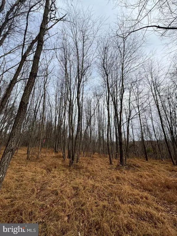 Mount Airy, MD 21771,6452-B GENERAL DRIVE #BURKE