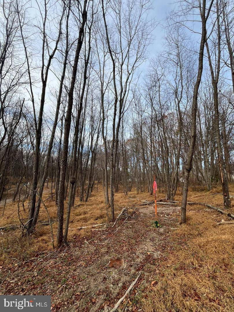 Mount Airy, MD 21771,LOT 3G WOODVILLE ROAD #BARTHOLOW