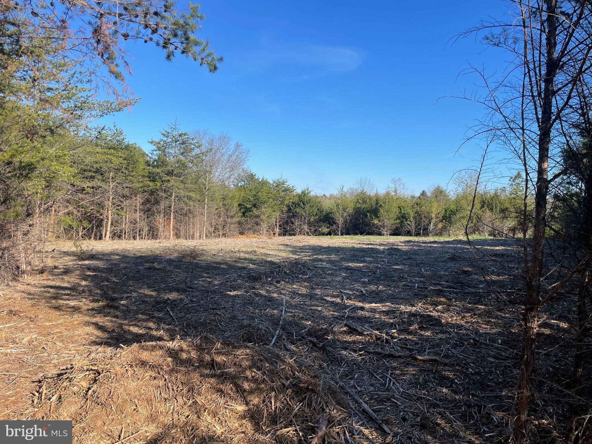 Catlett, VA 20119,LOT 2 DOZER LN.