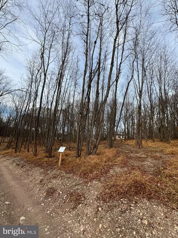 Mount Airy, MD 21771,LOT 3 WOODVILLE RD #MANOR