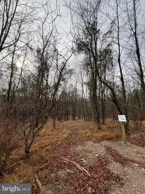 Mount Airy, MD 21771,LOT 3 WOODVILLE RD #GREENRIDGE