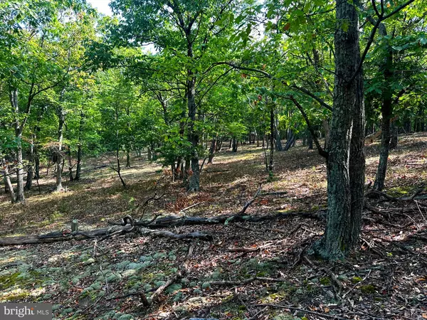 Petersburg, WV 26847,10.93 AC NAZELRODT-HARMAN RD