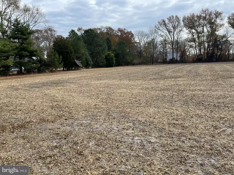 1.26 ACRE LOT ROXANNA RD, Selbyville, DE 19975