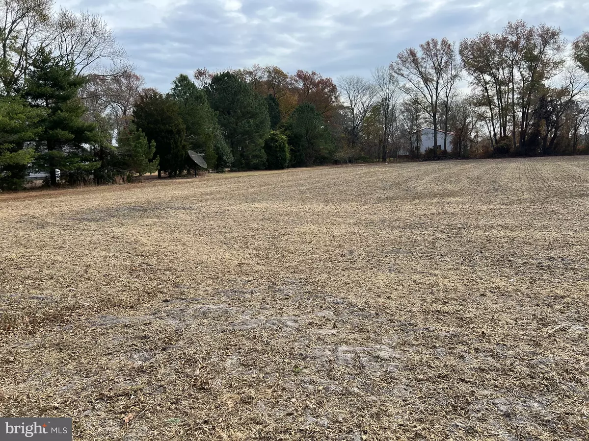 Selbyville, DE 19975,1.26 ACRE LOT ROXANA