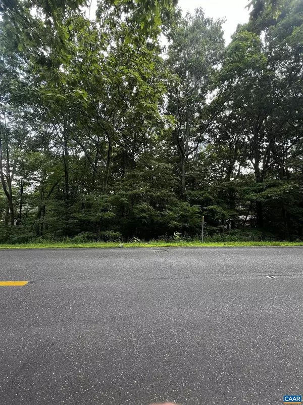 Wintergreen Resort, VA 22967,TBD SHAMOKIN SPRINGS TRL #155 CHESTNUT SPRINGS