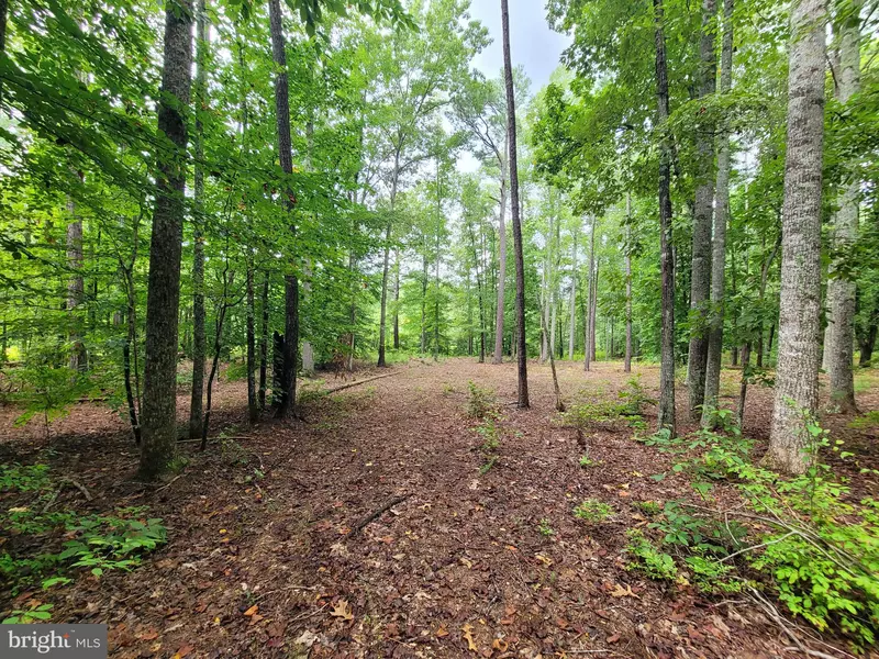 LOT 3 NARROW PATH WAY, Bowling Green, VA 22427