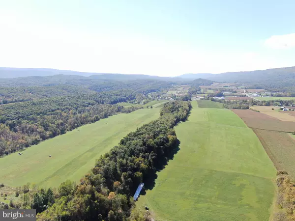 Entriken, PA 16638,119+/- ACRES BACKBONE RD