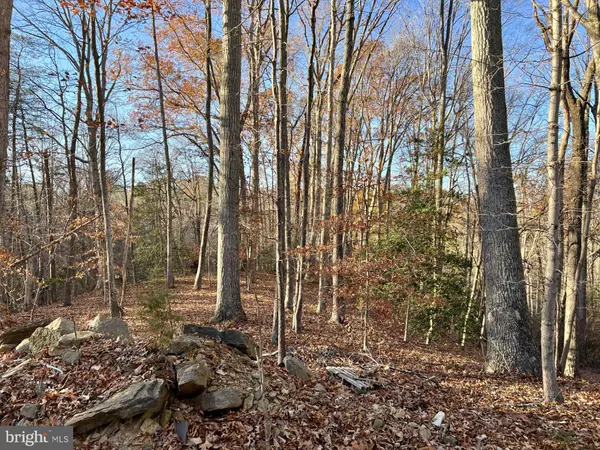 LOT 2 SANDY RIDGE RD, Fredericksburg, VA 22405