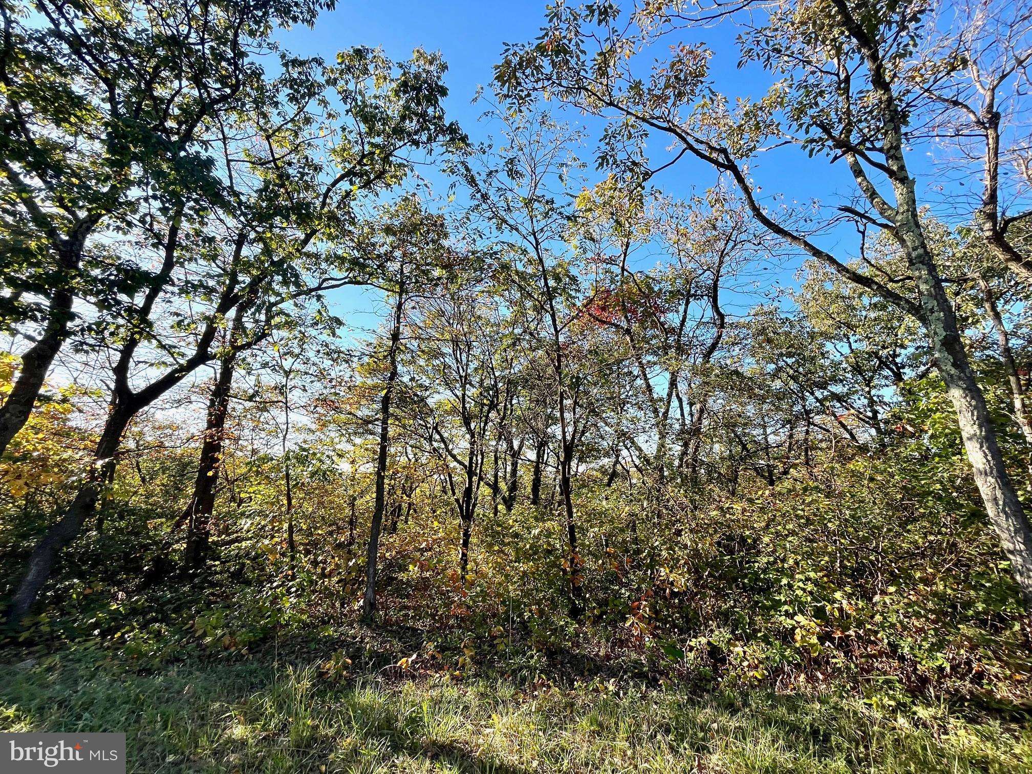 0 TIMBER RIDGE TRL, Winchester, VA 22602